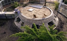 Night experience - Lodge By Zoo Bordeaux Pessac
